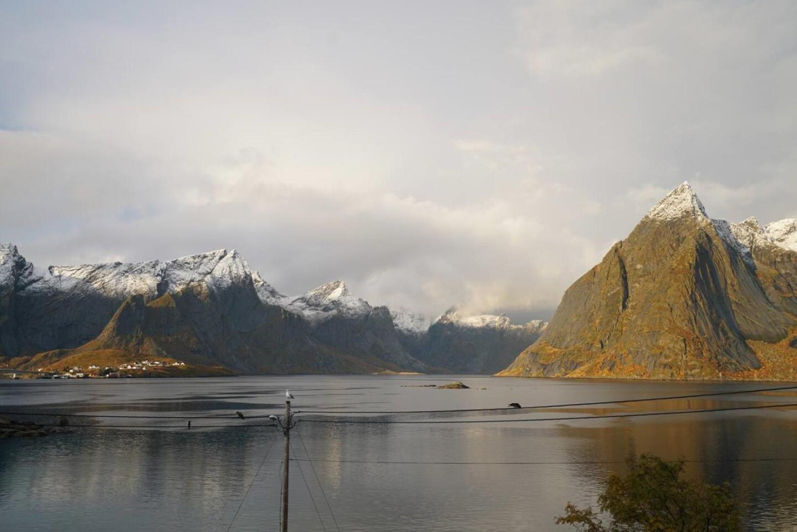 Lofoten Panoramic Luxury Home With Sauna موسكينيه المظهر الخارجي الصورة
